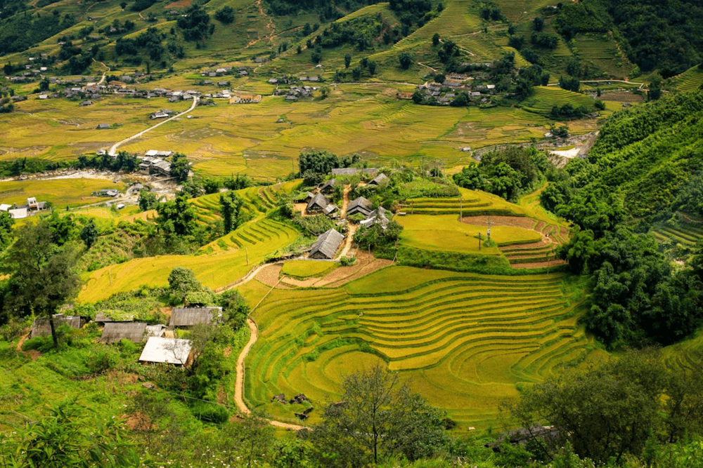 Y Linh Ho Village is embraced by rugged mountains and stunning rice terraces (Source: Pexels)